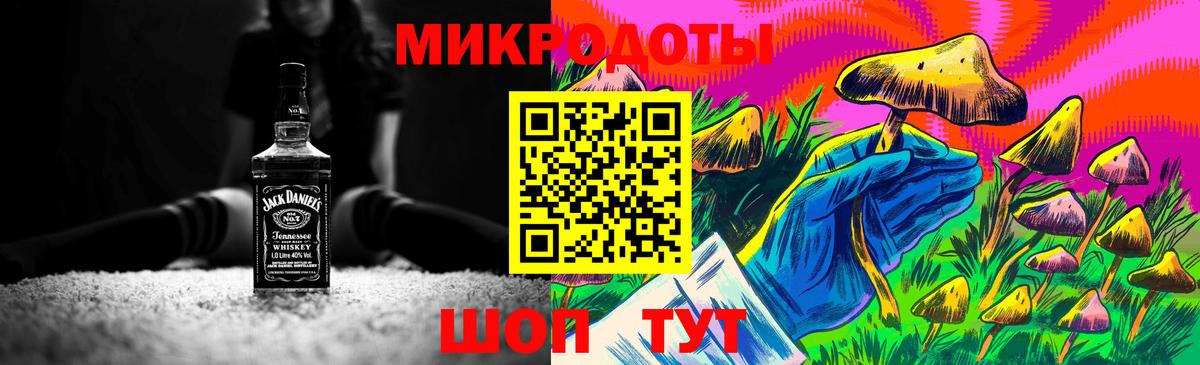Псилоцибиновые грибы Cubensis  Вход с VPN  Томск 